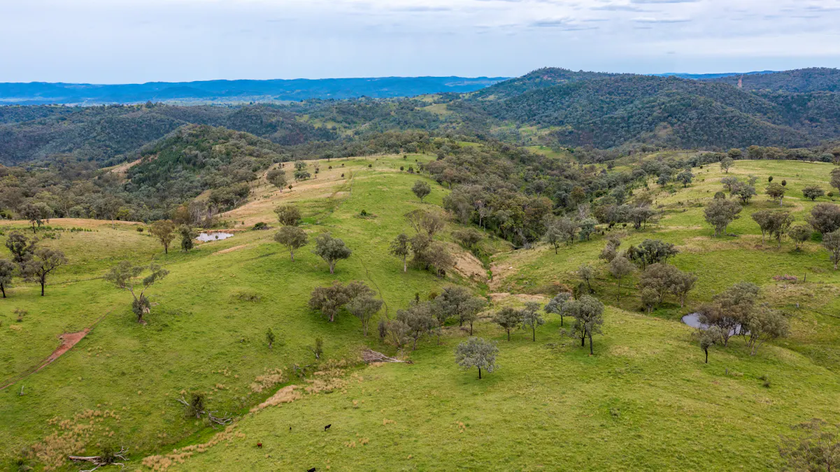 1102 Woodburn Emello Road, Barraba, NSW, 2347 - Image 7