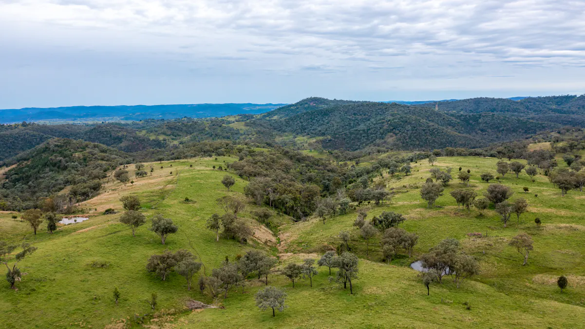 1102 Woodburn Emello Road, Barraba, NSW, 2347 - Image 8