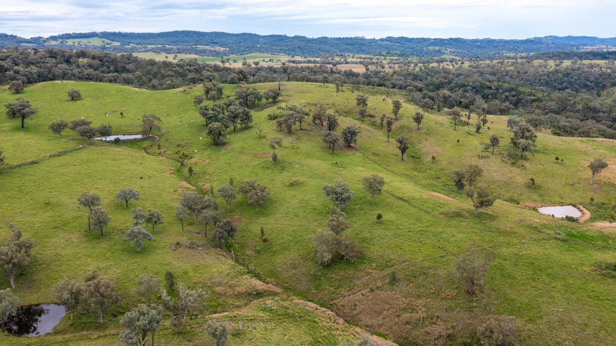 1102 Woodburn Emello Road, Barraba, NSW, 2347 - Image 11