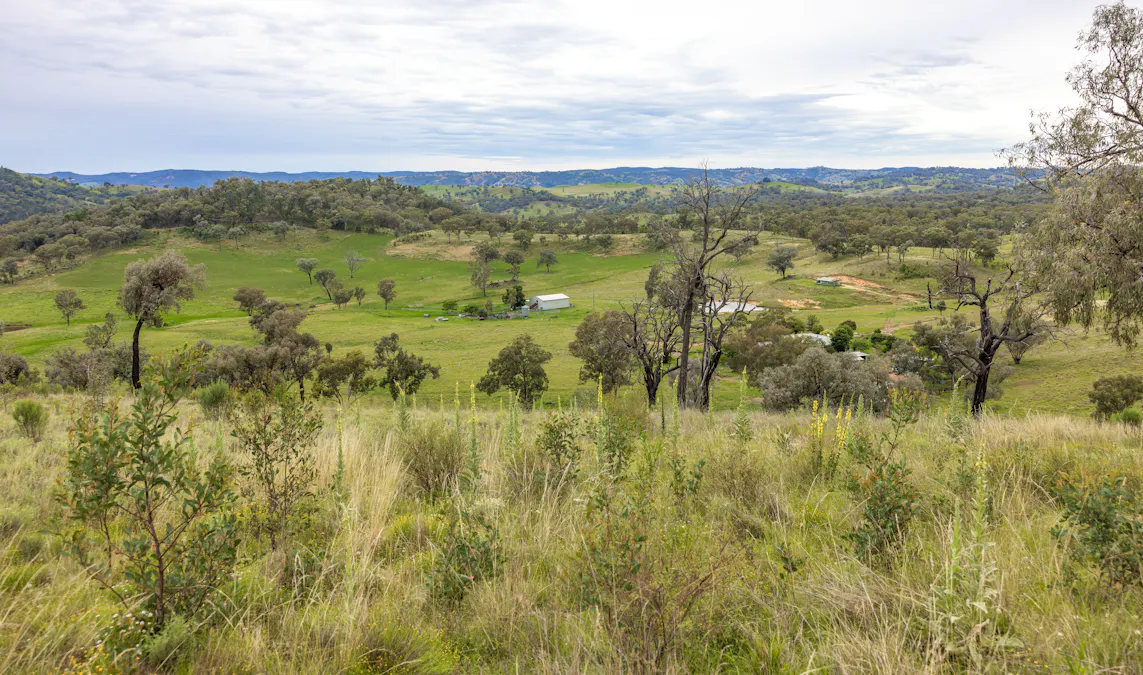 1102 Woodburn Emello Road, Barraba, NSW, 2347 - Image 12