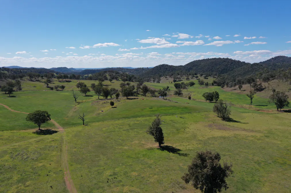 1102 Woodburn Emello Road, Barraba, NSW, 2347 - Image 24