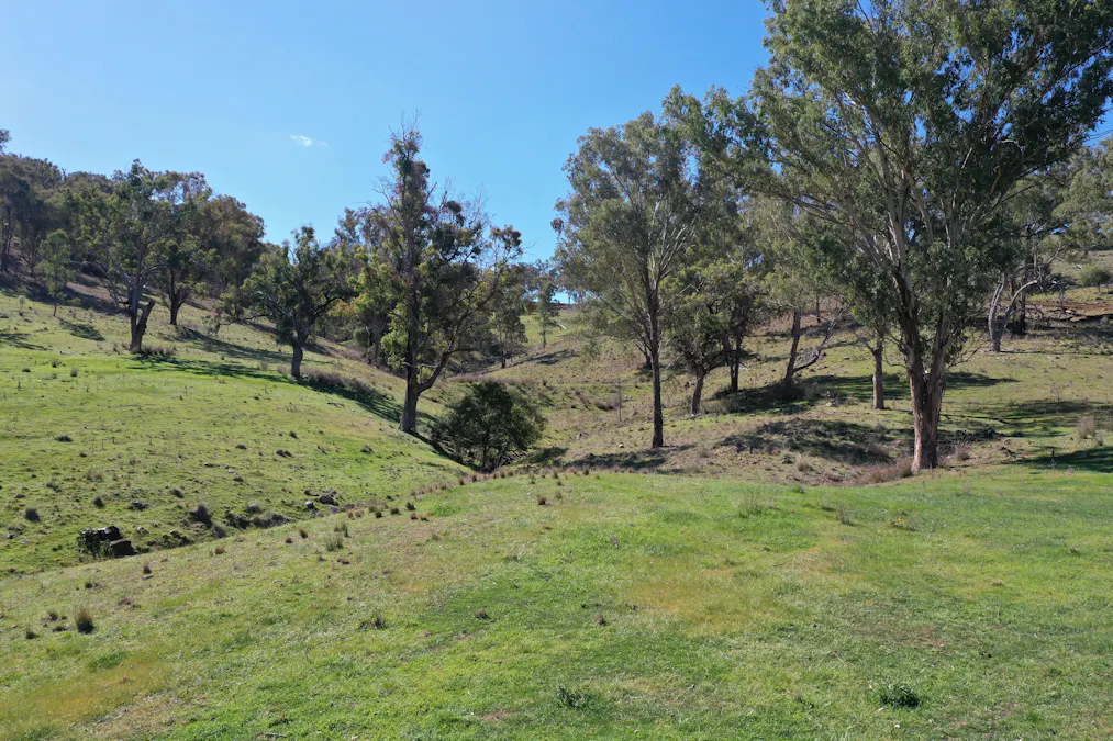 1102 Woodburn Emello Road, Barraba, NSW, 2347 - Image 26