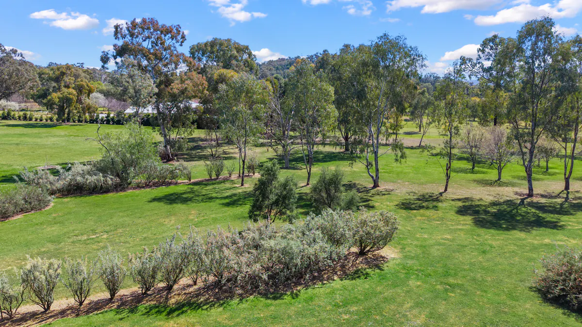 236 Bournes Lane, Tamworth, NSW, 2340 - Image 18