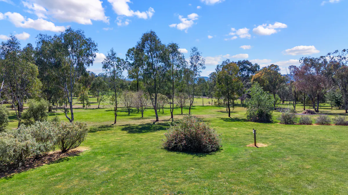 236 Bournes Lane, Tamworth, NSW, 2340 - Image 19