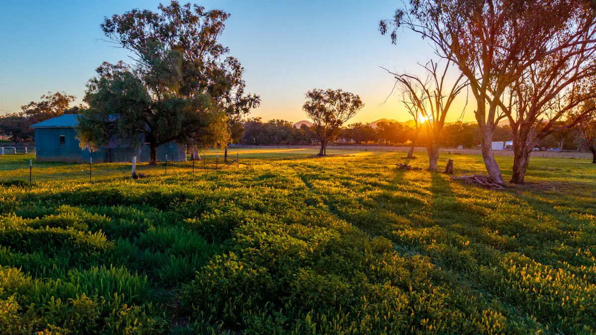 119 Skeltons Lane, Tamworth, NSW, 2340 - Image 13