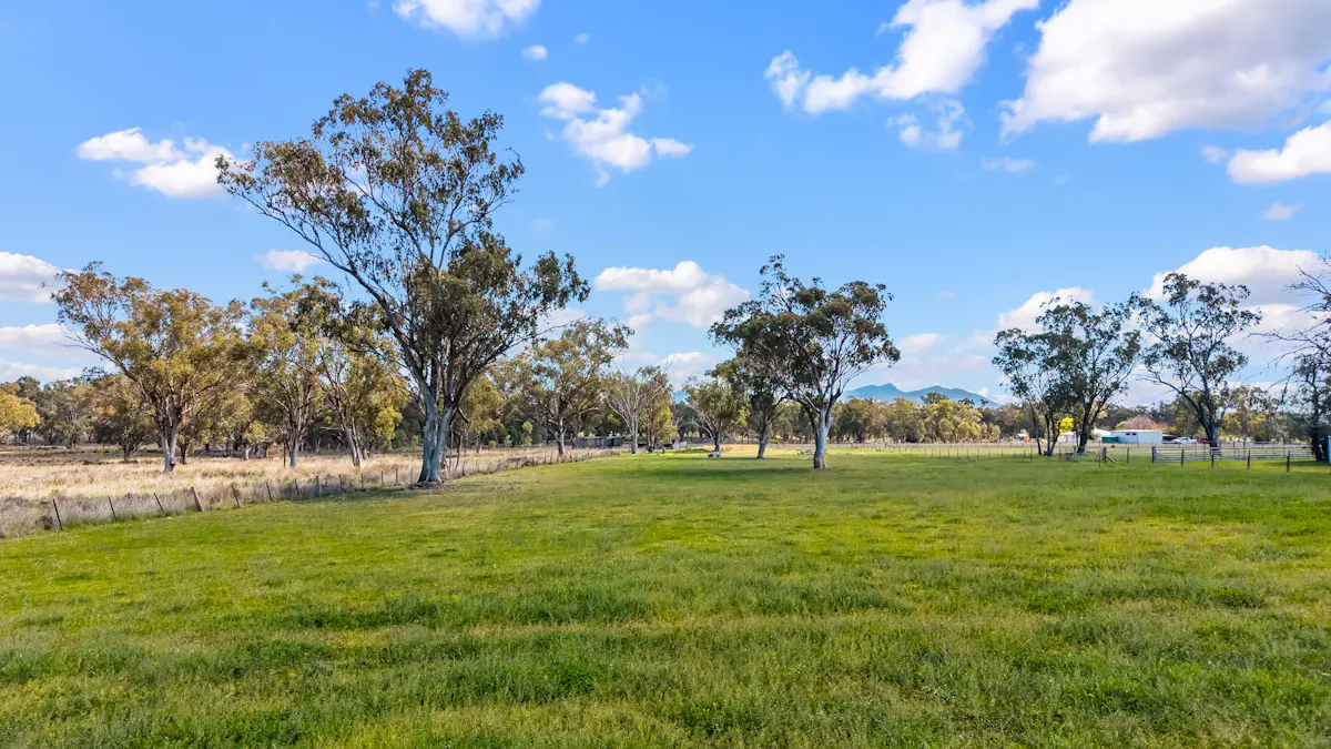 119 Skeltons Lane, Tamworth, NSW, 2340 - Image 4