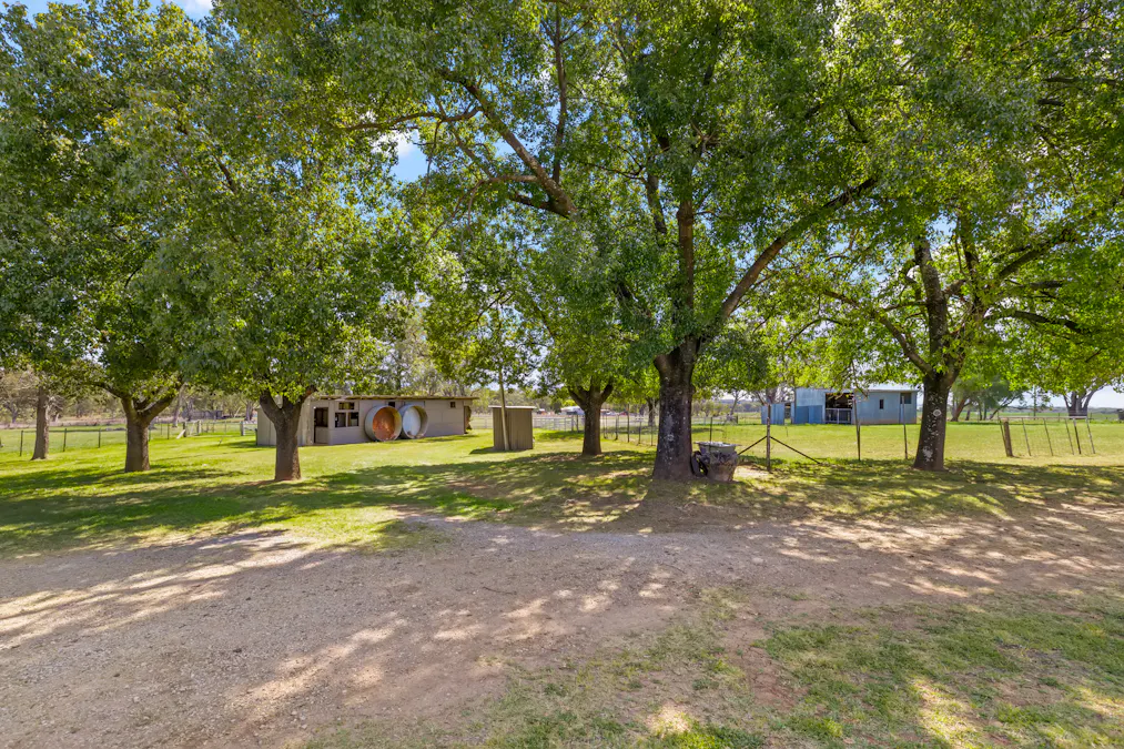 119 Skeltons Lane, Tamworth, NSW, 2340 - Image 14