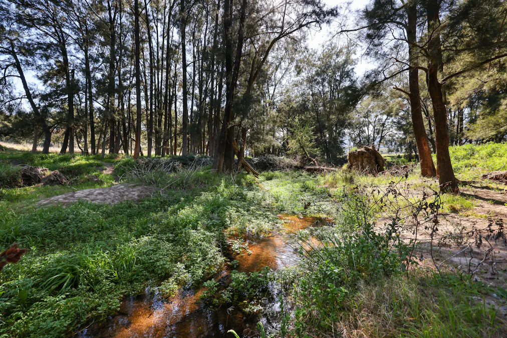 890 Moonbi Gap Road, Tamworth, NSW, 2340 - Image 9