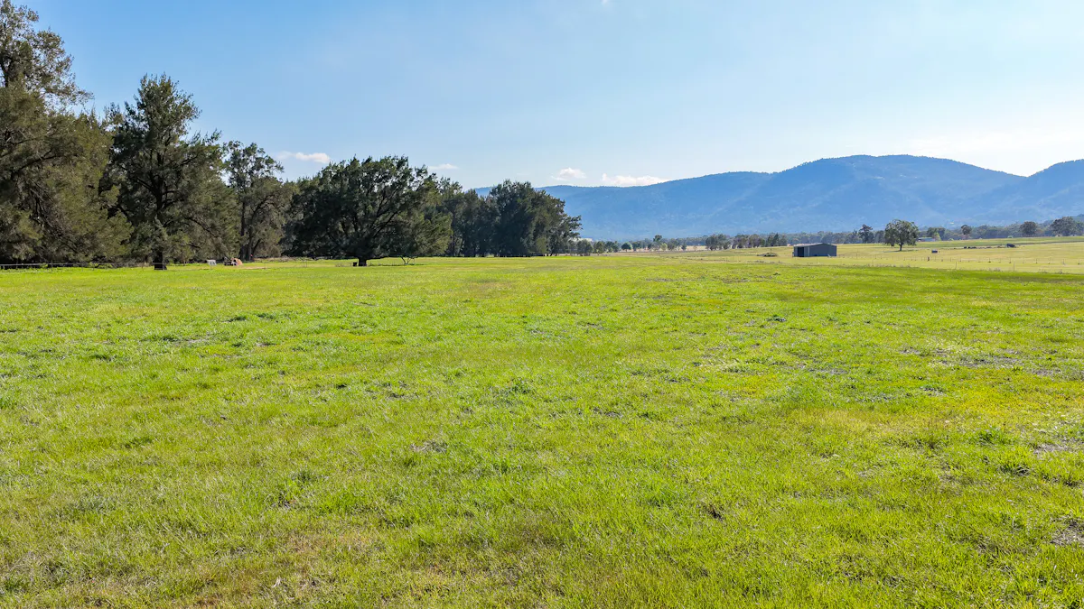 890 Moonbi Gap Road, Tamworth, NSW, 2340 - Image 12