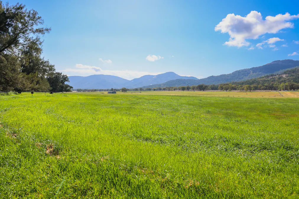 890 Moonbi Gap Road, Tamworth, NSW, 2340 - Image 14