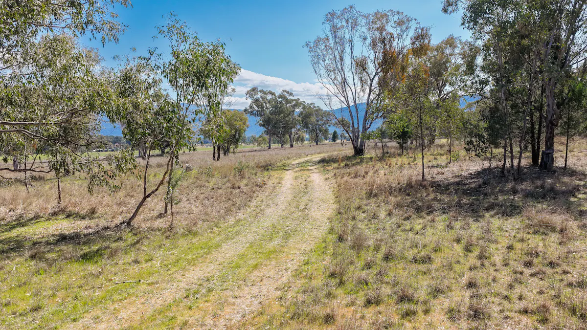 890 Moonbi Gap Road, Tamworth, NSW, 2340 - Image 16