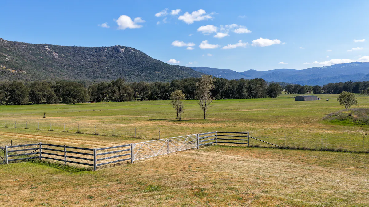 890 Moonbi Gap Road, Tamworth, NSW, 2340 - Image 1