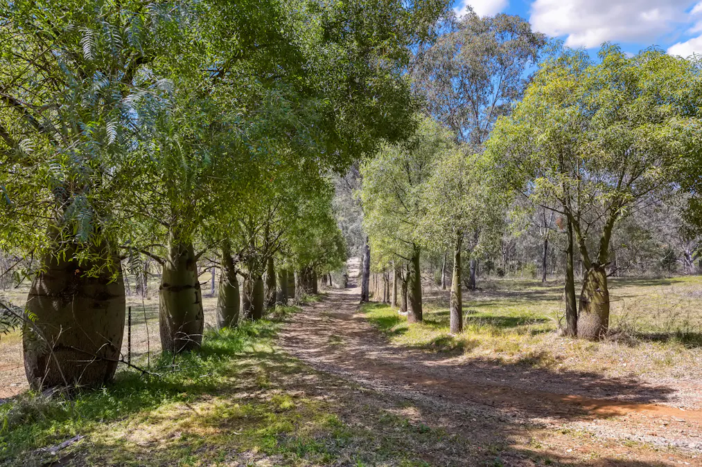 601 Daruka Road, Tamworth, NSW, 2340 - Image 2