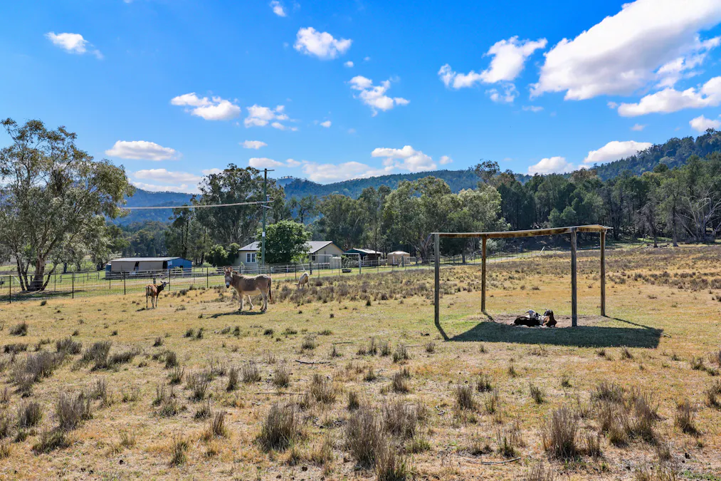 284 Tanglewood Road, Moonbi, NSW, 2353 - Image 15