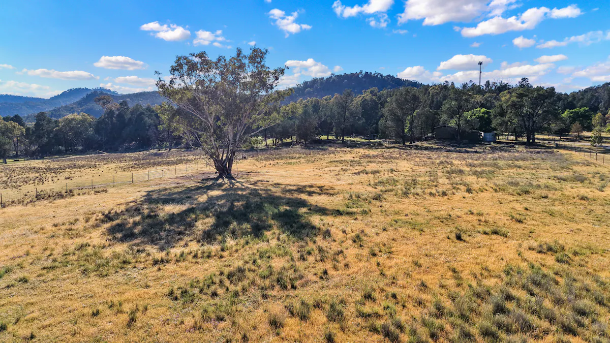 284 Tanglewood Road, Moonbi, NSW, 2353 - Image 2