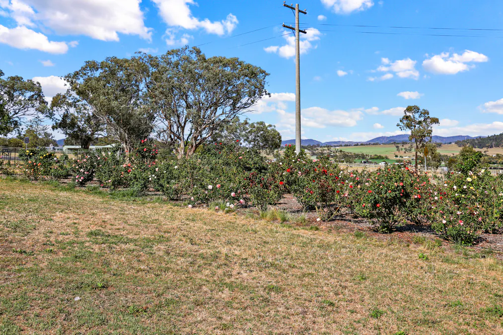 284 Tanglewood Road, Moonbi, NSW, 2353 - Image 18