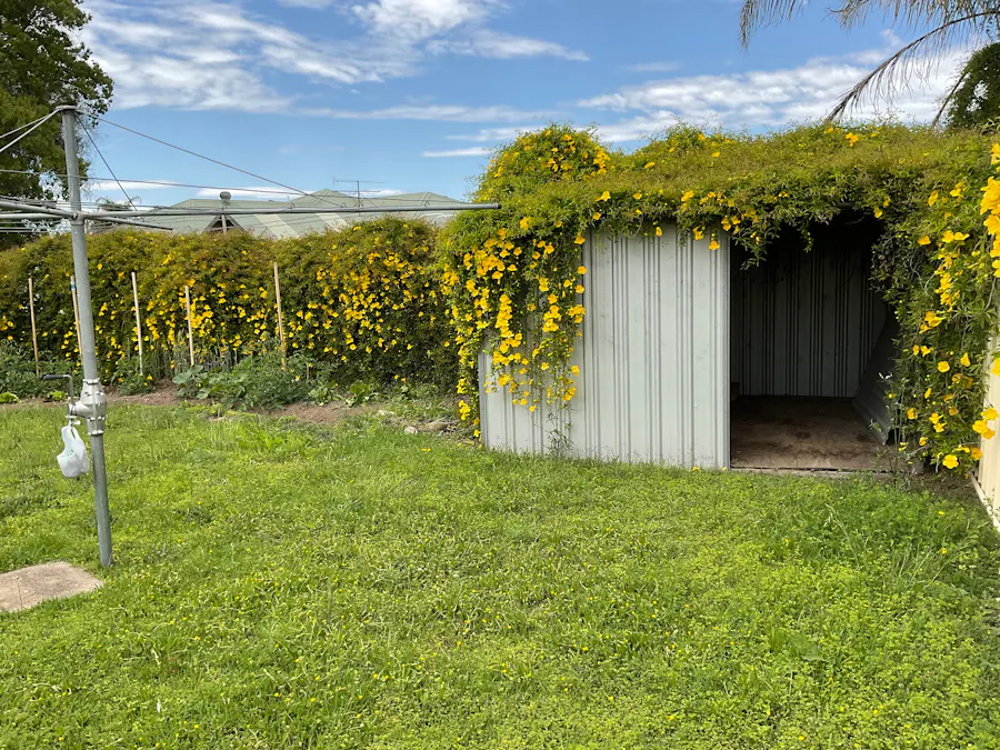 2/4 Burilla Street, Tamworth, NSW, 2340 - Image 2