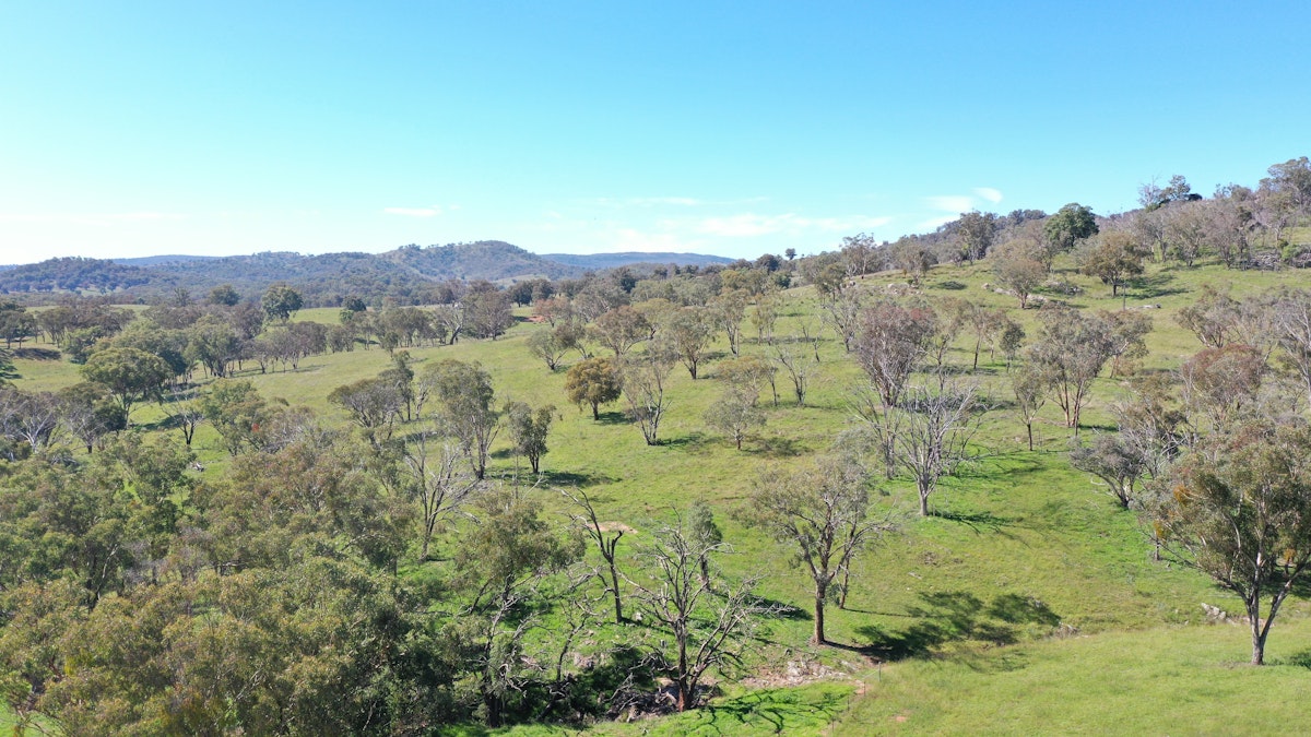 1058 Old Bundarra Road, Barraba, NSW, 2347 - Image 5