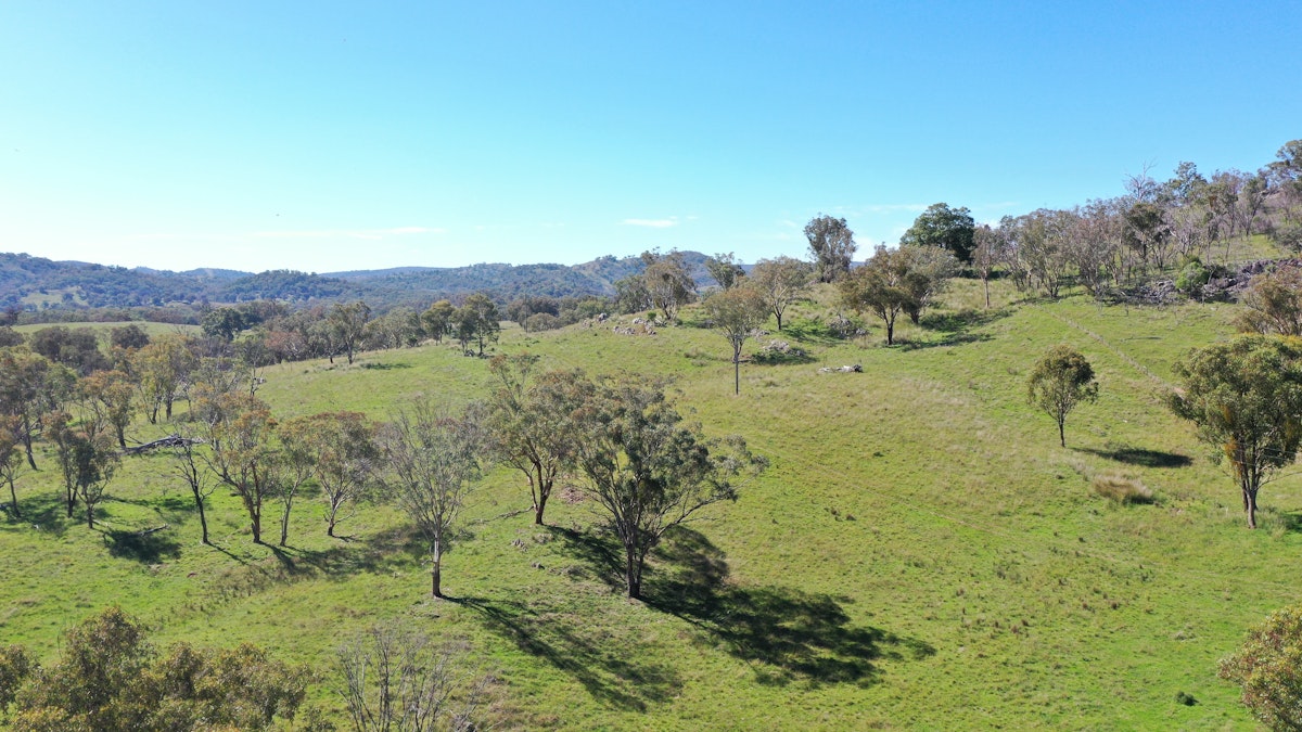 1058 Old Bundarra Road, Barraba, NSW, 2347 - Image 6