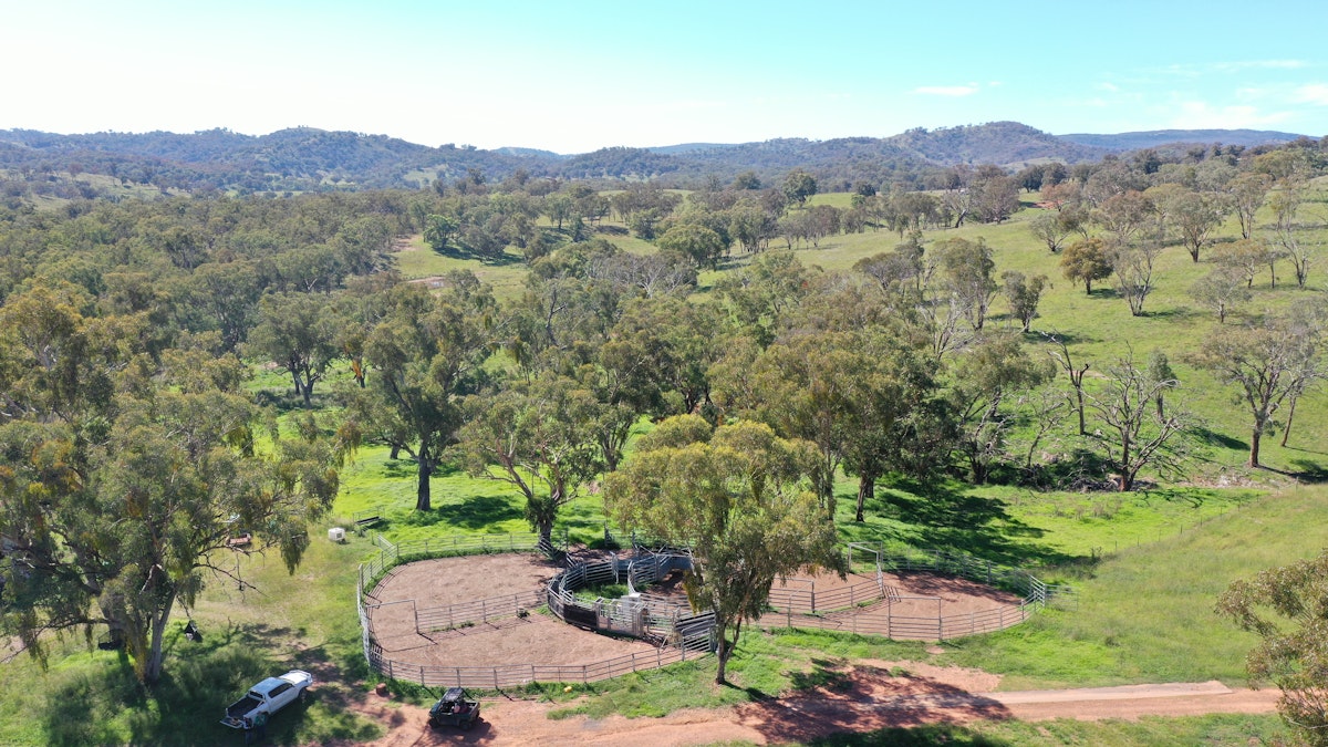 1058 Old Bundarra Road, Barraba, NSW, 2347 - Image 16