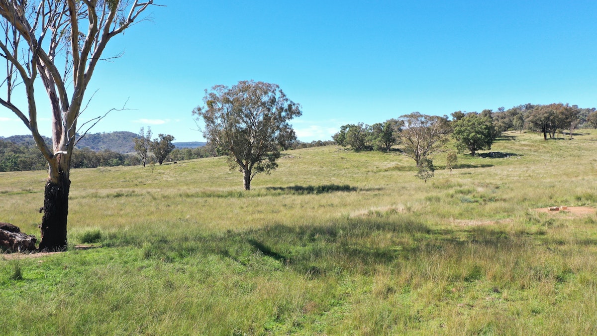 1058 Old Bundarra Road, Barraba, NSW, 2347 - Image 1