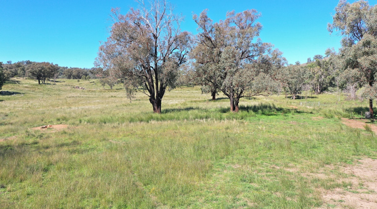 1058 Old Bundarra Road, Barraba, NSW, 2347 - Image 8