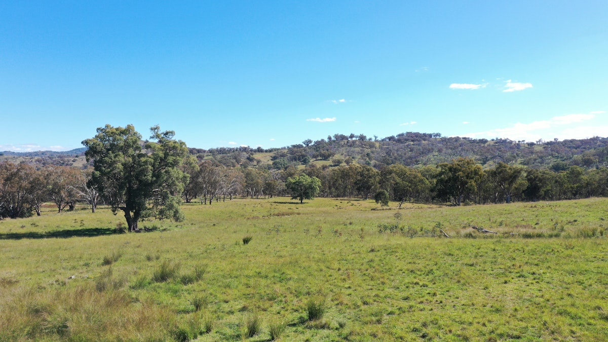 1058 Old Bundarra Road, Barraba, NSW, 2347 - Image 9