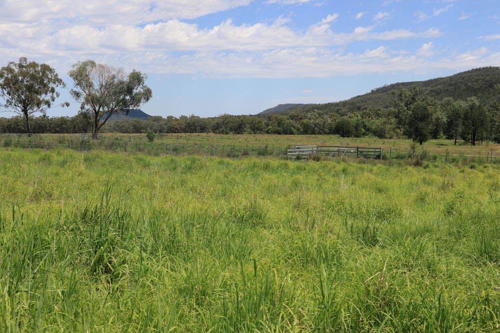 2222 Spooners Gap Road, Bellata, NSW, 2397 - Image 9