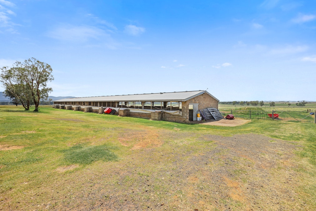 152 Byamee Lane, Tamworth, NSW, 2340 - Image 11