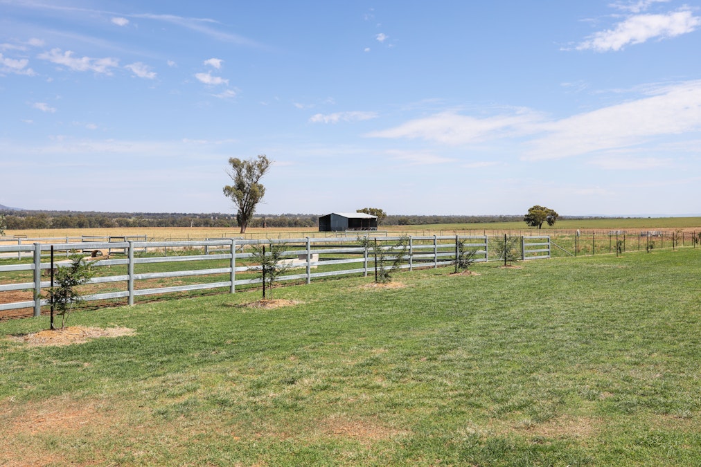 108 Skeltons Lane, Tamworth, NSW, 2340 - Image 13