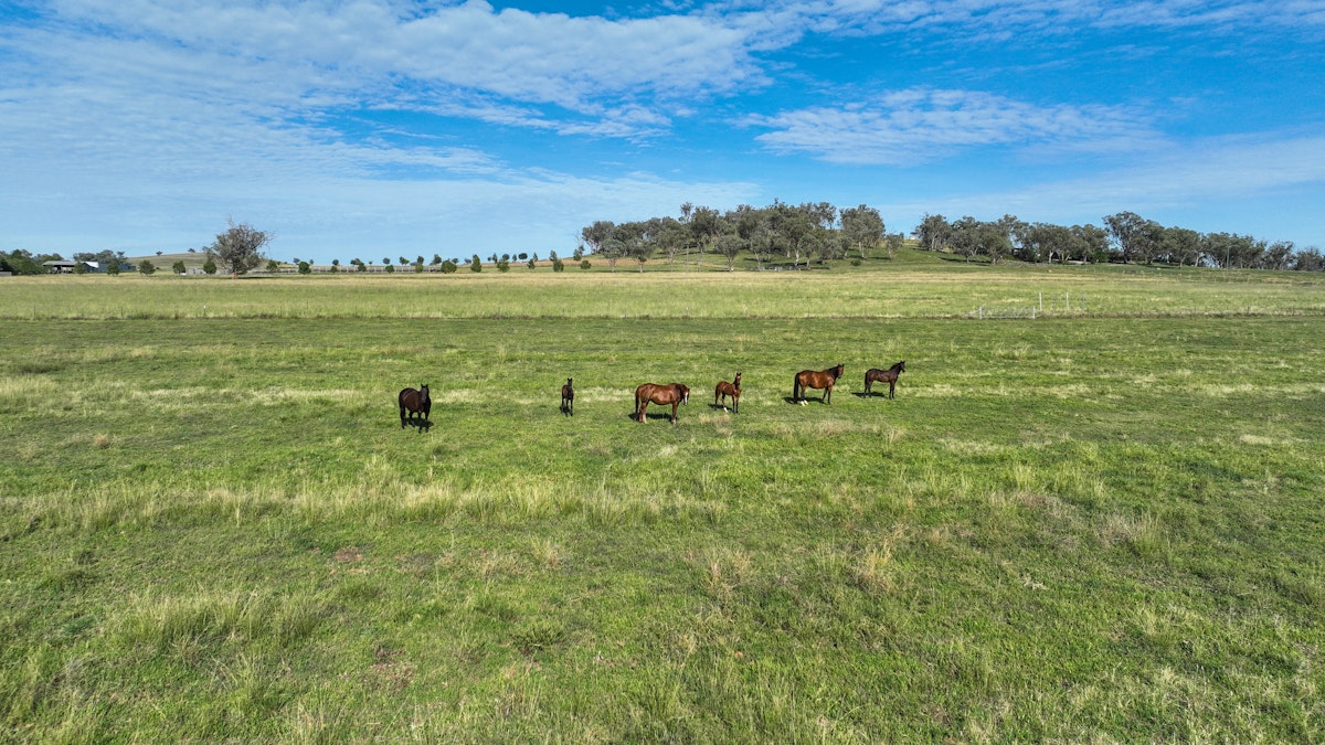 14409 New England Highway, Tamworth, NSW, 2340 - Image 22