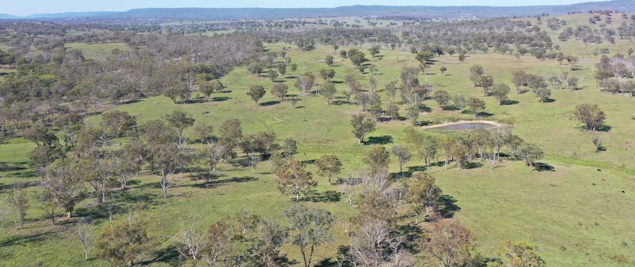 216 Mt Drummond Road, Bundarra, NSW, 2359 - Image 2