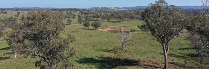 216 Mt Drummond Road, Bundarra, NSW, 2359 - Image 1