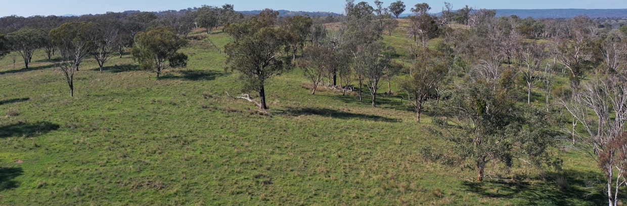 216 Mt Drummond Road, Bundarra, NSW, 2359 - Image 3