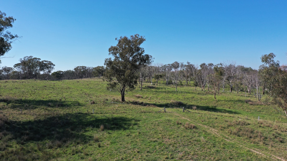 216 Mt Drummond Road, Bundarra, NSW, 2359 - Image 5