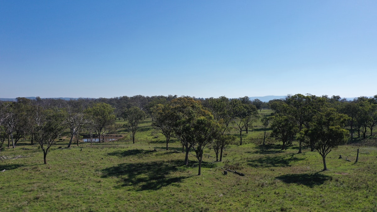 216 Mt Drummond Road, Bundarra, NSW, 2359 - Image 8