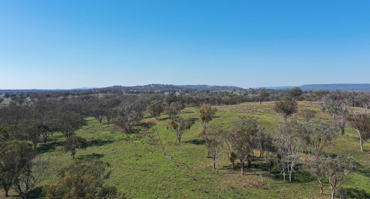 216 Mt Drummond Road, Bundarra, NSW, 2359 - Image 9