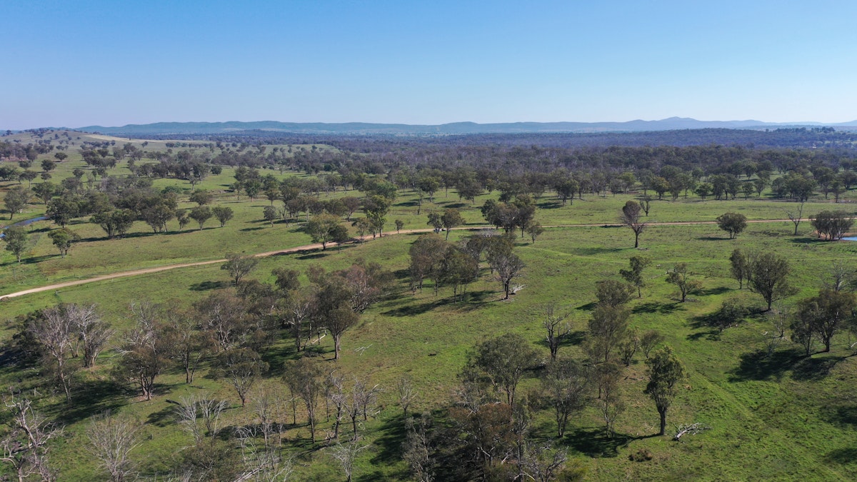 216 Mt Drummond Road, Bundarra, NSW, 2359 - Image 16