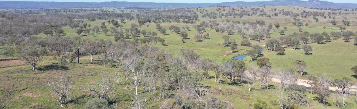 216 Mt Drummond Road, Bundarra, NSW, 2359 - Image 19