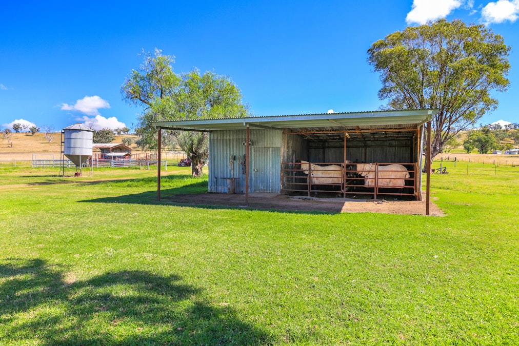 1083 Trevallyn Road, Barraba, NSW, 2347 - Image 21