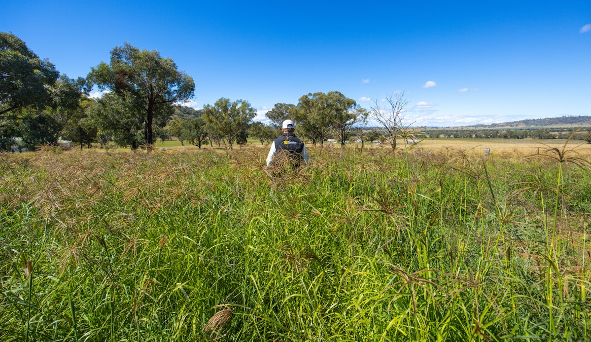 1083 Trevallyn Road, Barraba, NSW, 2347 - Image 25