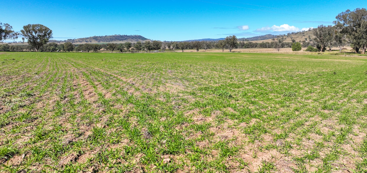 1083 Trevallyn Road, Barraba, NSW, 2347 - Image 32