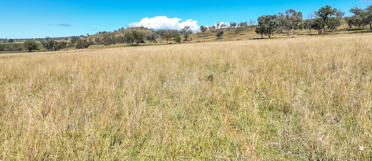 1083 Trevallyn Road, Barraba, NSW, 2347 - Image 33