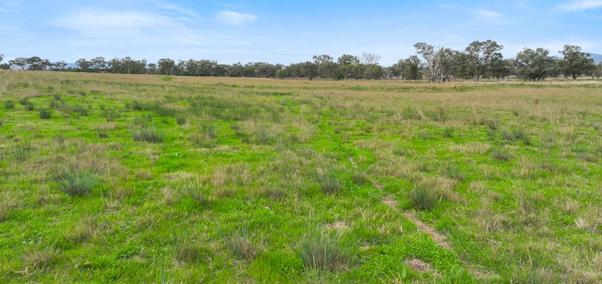 Lot 2 Hausfields Road, Duri, NSW, 2344 - Image 7