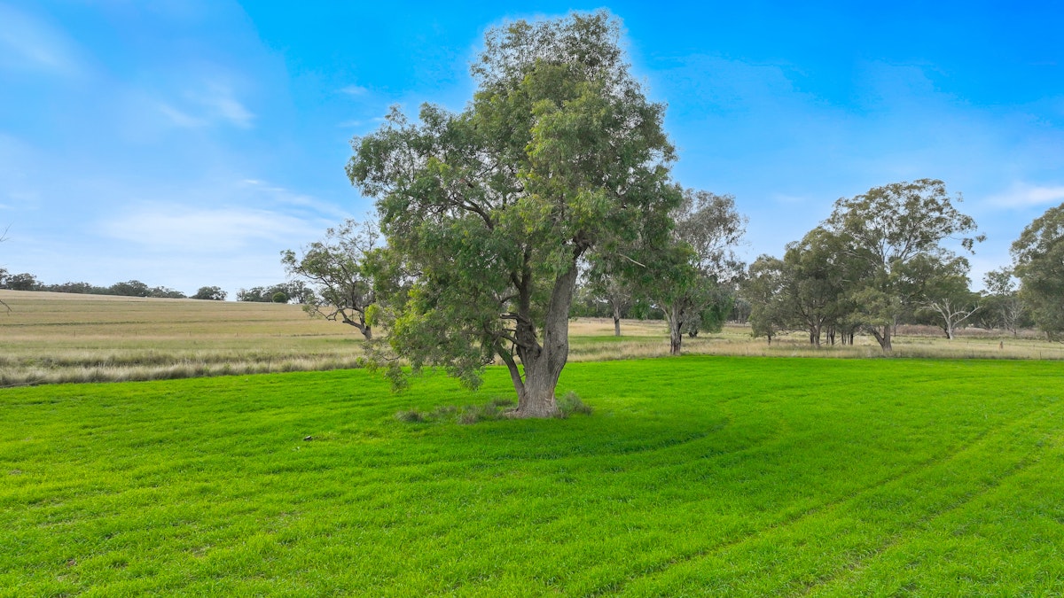 Lot 2 Hausfields Road, Duri, NSW, 2344 - Image 2