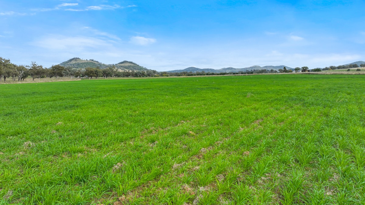 Lot 2 Hausfields Road, Duri, NSW, 2344 - Image 8