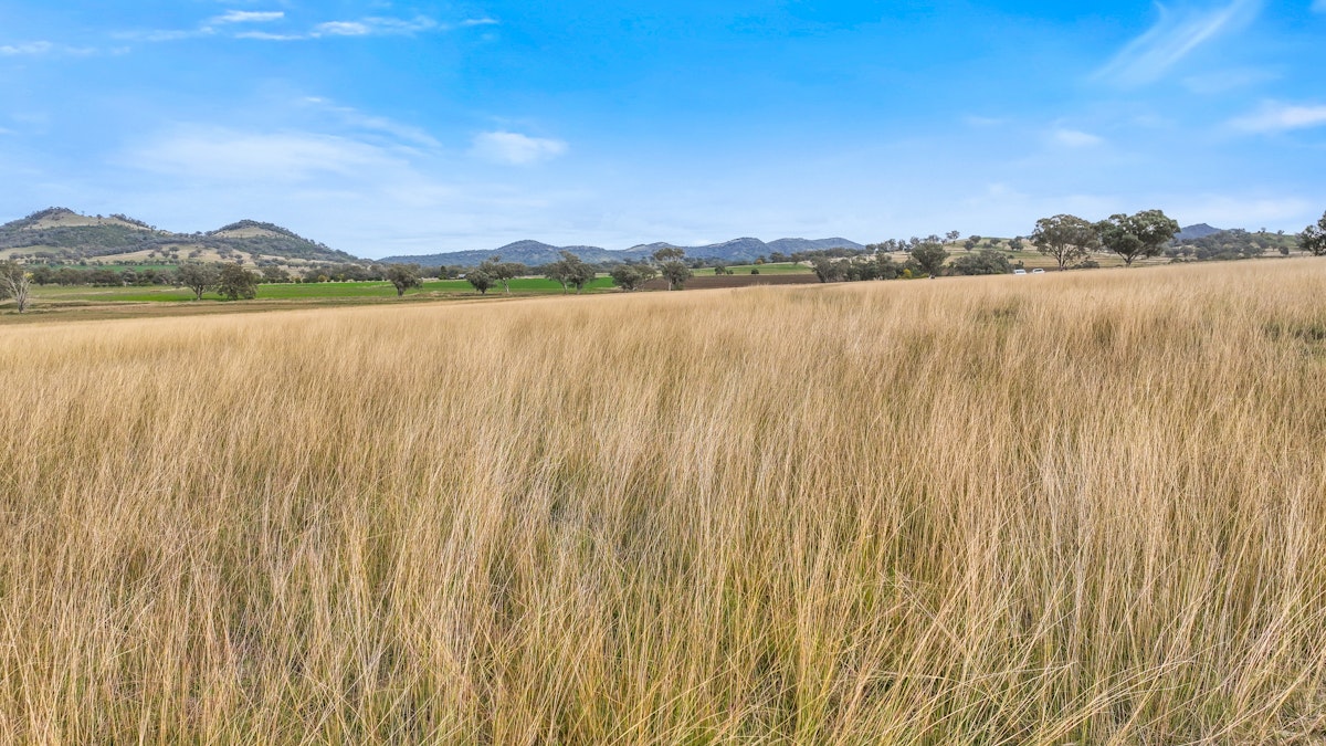 Lot 2 Hausfields Road, Duri, NSW, 2344 - Image 9