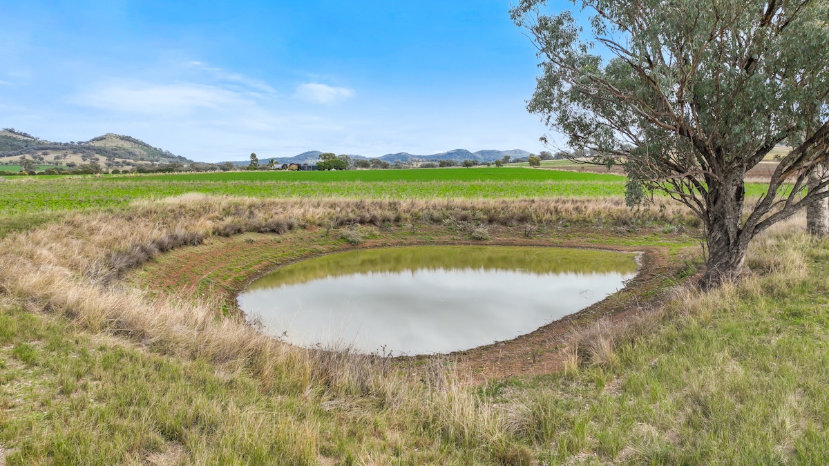 Lot 2 Hausfields Road, Duri, NSW, 2344 - Image 12