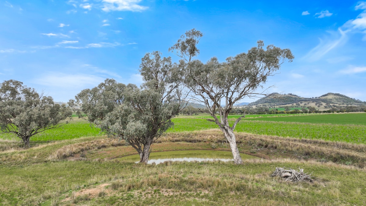 Lot 2 Hausfields Road, Duri, NSW, 2344 - Image 13