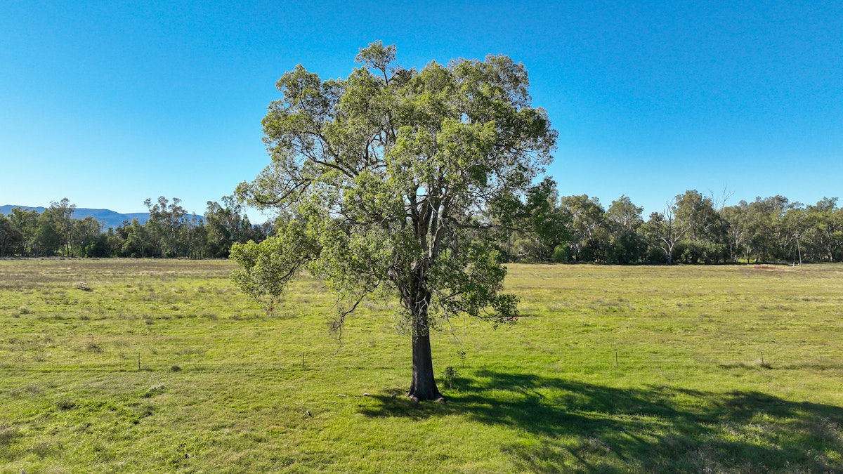 340 Black Mountain Creek Road, Boggabri, NSW, 2382 - Image 2